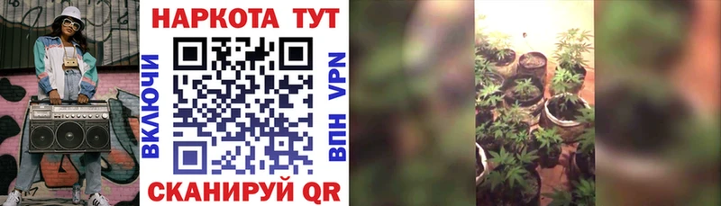 Где продают наркотики Людиново Галлюциногенные грибы  КОКАИН  Alpha PVP  Амфетамин 
