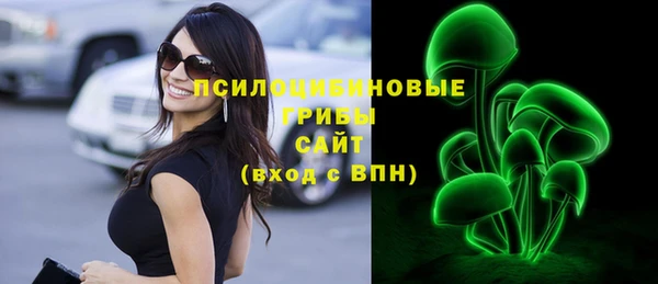 спиды Покачи