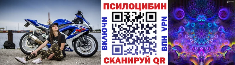 Псилоцибиновые грибы Cubensis  наркошоп  Людиново 