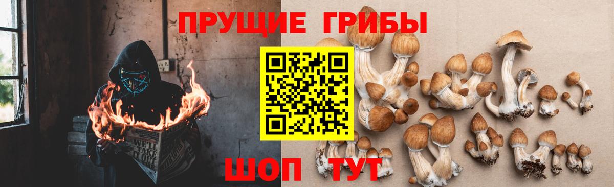 Псилоцибиновые грибы Magic Shrooms  Вход с VPN  Людиново 